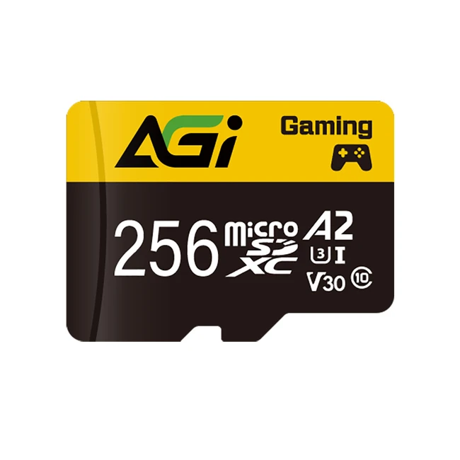 Флеш (Flash) карты ELP Imaging AGI256GGSTF138-R2 256 ГБ
