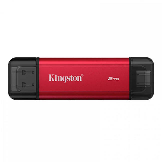 USB флешка (Flash) Kingston SPSD/2TB 2 ТБ