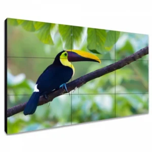 LED / LCD панель Exell EXPD-WA55AB35 55 "