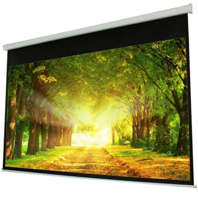 Проекционный экран PROscreen MLE9120