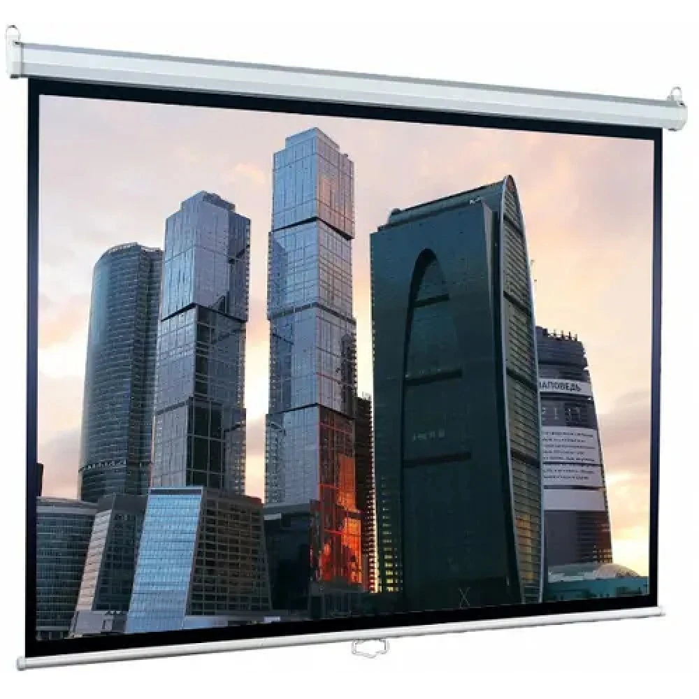 Проекционный экран Lumien Eco Picture LEP-100123